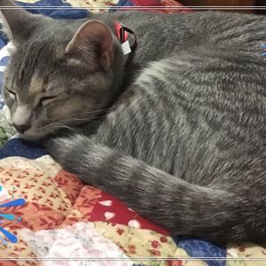 Meet your Posher, Connie